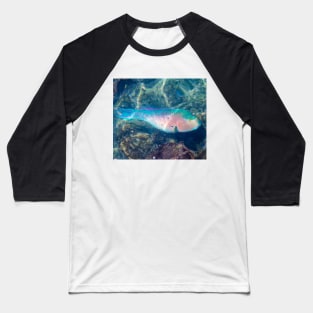 Bluechin Parrotfish in the Galapagos Islands, Ecuador Baseball T-Shirt